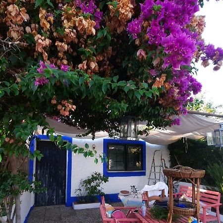 Вилла Casa Con Sierra Y Con Portugal Rosal de la Frontera Экстерьер фото